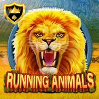 RUNNING ANIMALS