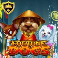 FORTUNE DOGS