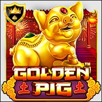 GOLDEN PIG